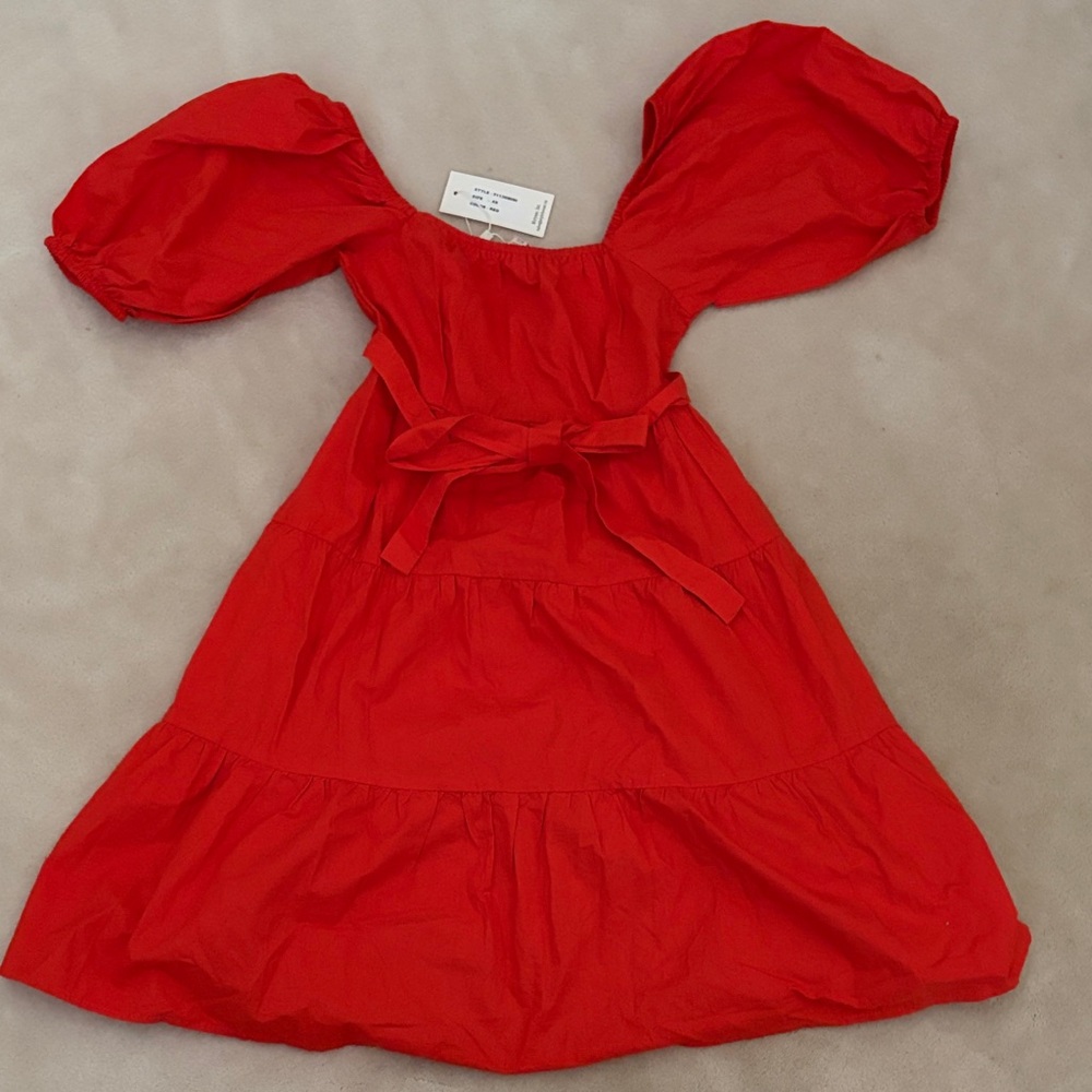 Charming Red Dress with Balloon Sleeves